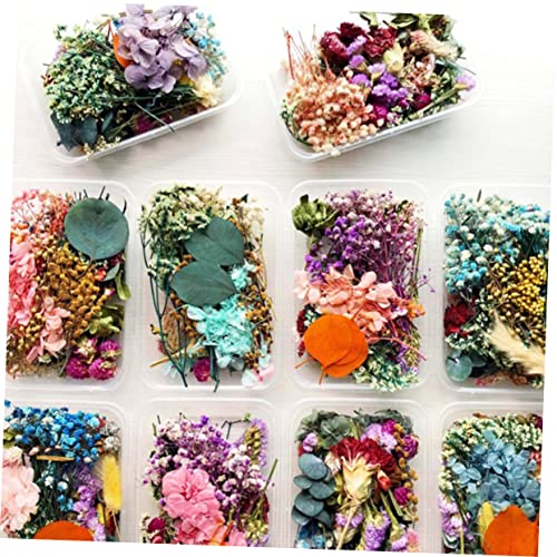 Flores secas reales decorativas aromáticas en caja x3 miniatura 6