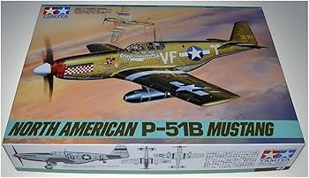 61DB5phHTrL._UF350,350_QL80_.jpg