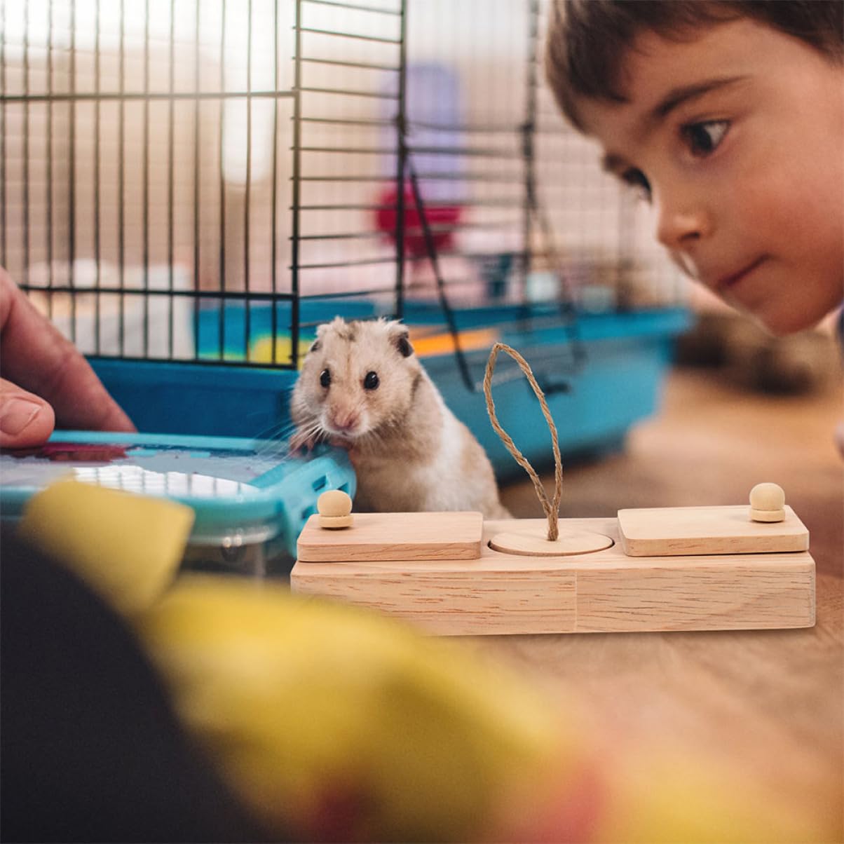 Milisten 2 Pièces Jouet de Découverte de Nourriture en Bois, pour Hamster