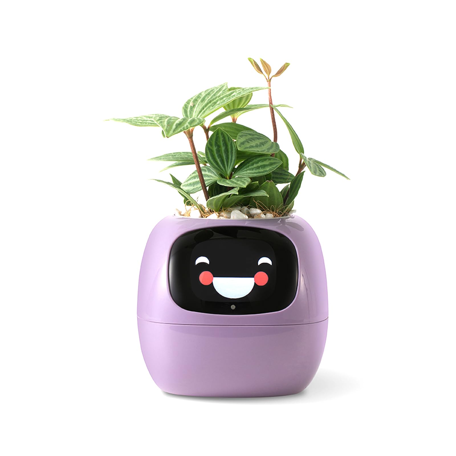 PLANTSIO Smart pet Planter Robot Guidance on Plant Care with Emojis, Adorable Plant Companion with Rich Gesture Interaction, Neat Desk Setup Gift (Purple) โ image 1