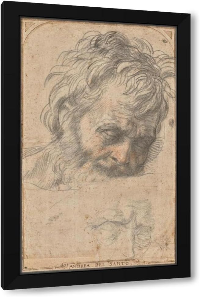 Andrea Del Sarto 16x24 Black Modern Framed Art Print Titled: Study for the Head of Saint Joseph (1526-1527)