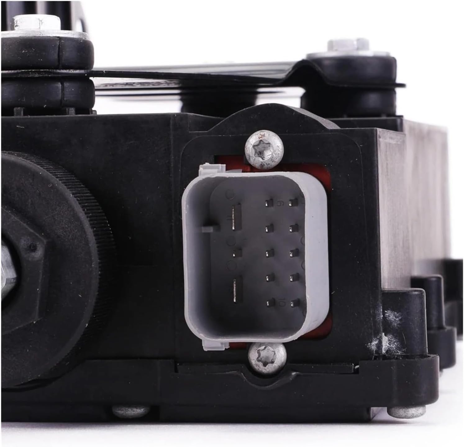 127 真作 美術品 愛媛県書家 菊川國夫書 「麗」 47.5×38cm 額入