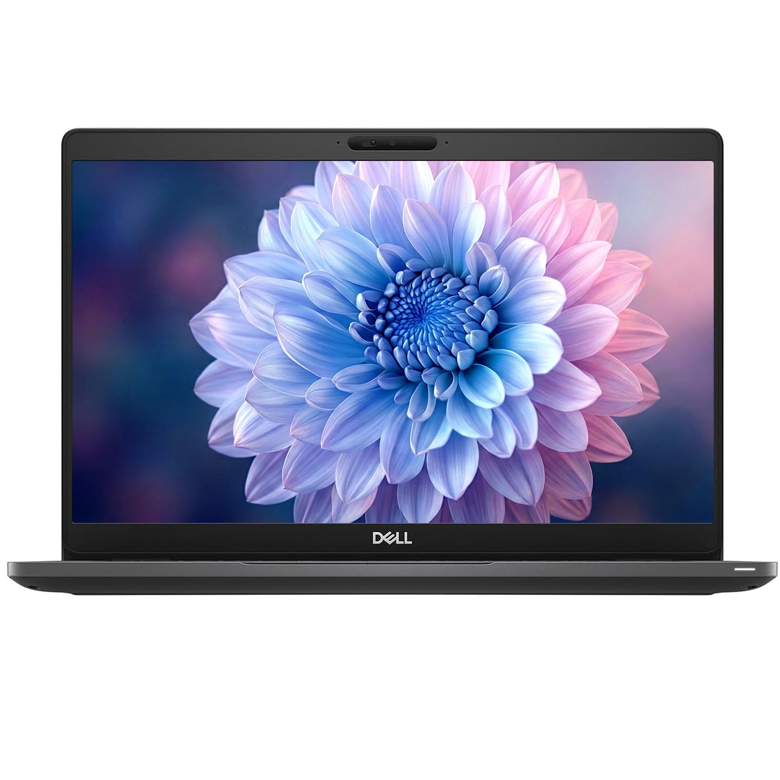Amazon.com: Dell Latitude 5300 13.3
