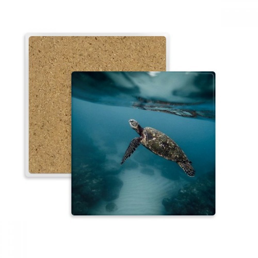 Tortue de mer carré coaster absorbant pour éliminer les taches de verre