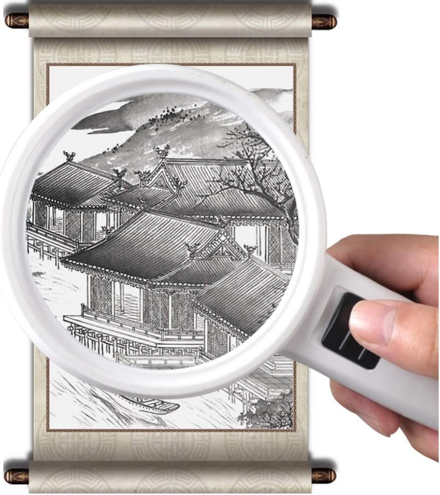 JSEIAJB ハンドヘルド、年配読書、はんだ付け、検査、コイン、宝飾品のため、ライト付き拡大鏡、