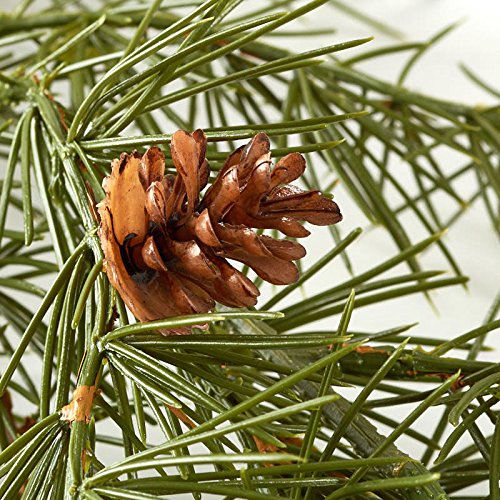 Realistic Look Evergreen Pine Garland with Pinecone Accents by Factory Direct Craft - Wispy Pine Needle Christmas Greenery Garland - Outdoor Holiday Pine Garland