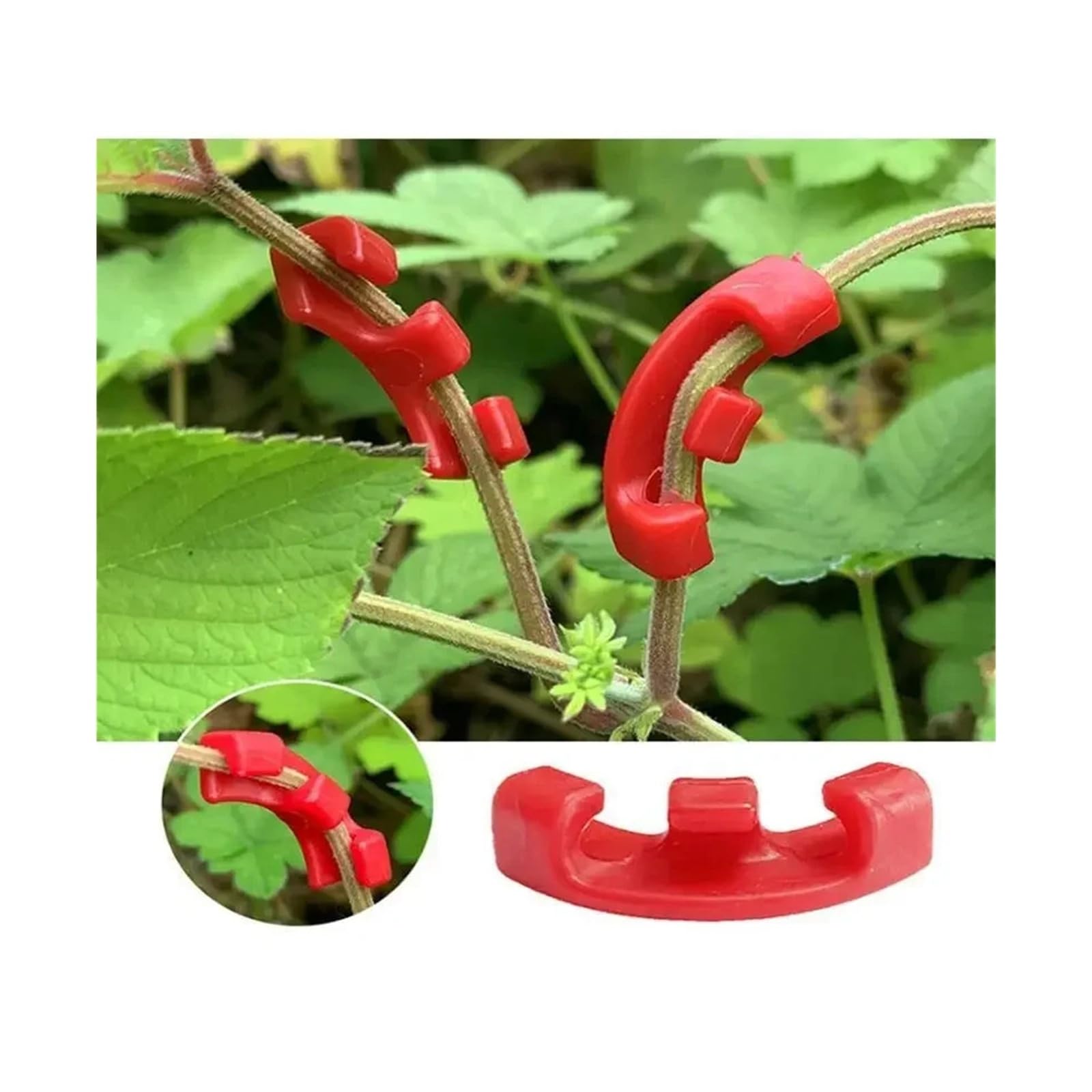 Generico 10-100 Clip for piegatrici di Piante da 90 Gradi, Attrezzi Giardino for Allenamento a Basso Stress