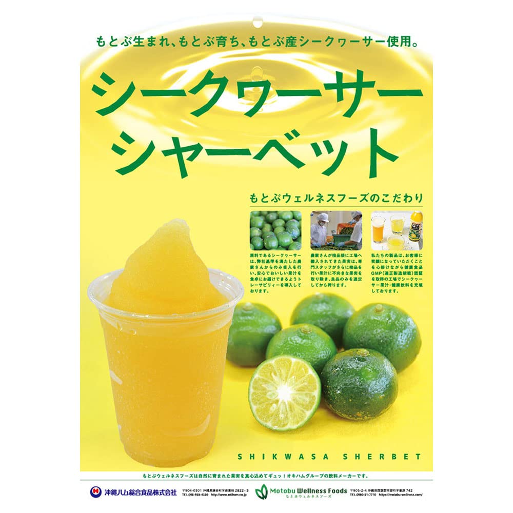 Amazon.co.jp: オキナワ シークヮーサードリンク 100 500ml PET×2本