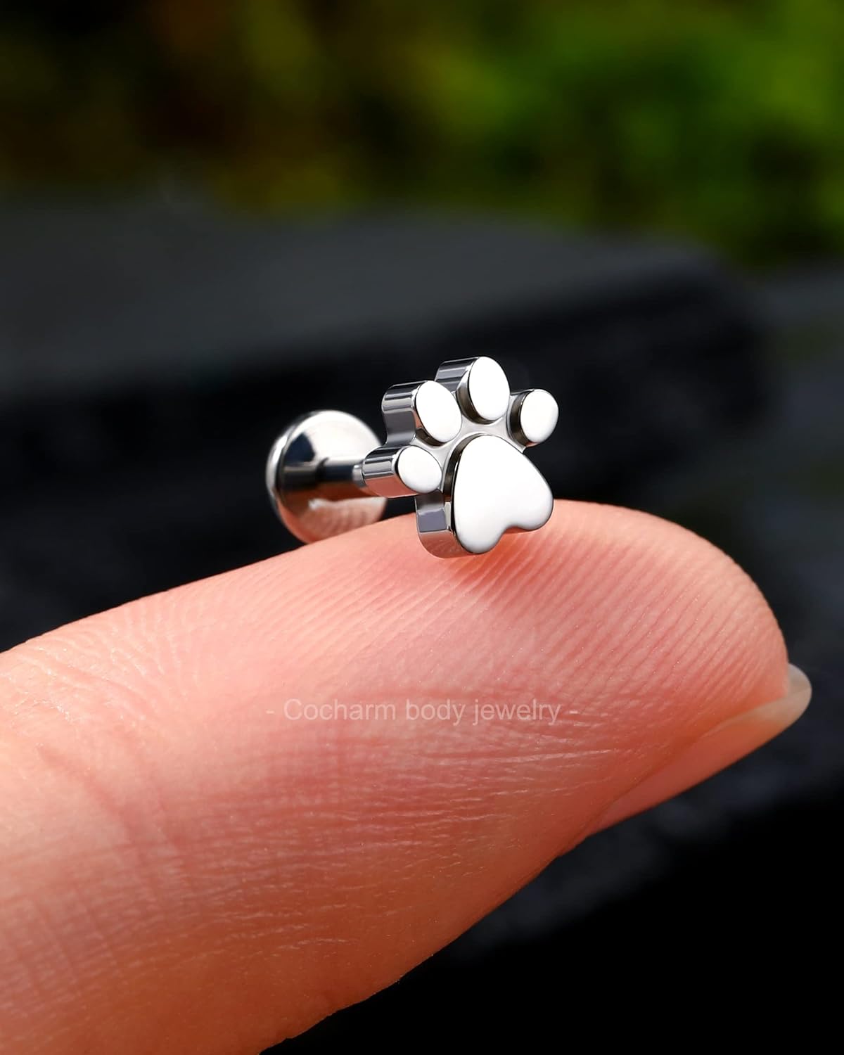 COCHARM G23 Titanium Helix Earrings Stud 16g Flat Back Tragus Piercing 6mm Paw Print Tragus Earrings 16 Gauge Internally Threaded Tragus Stud Hypoallergenic Helix Jewelry - Image 3