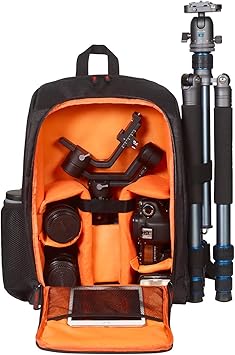 dji ronin m backpack