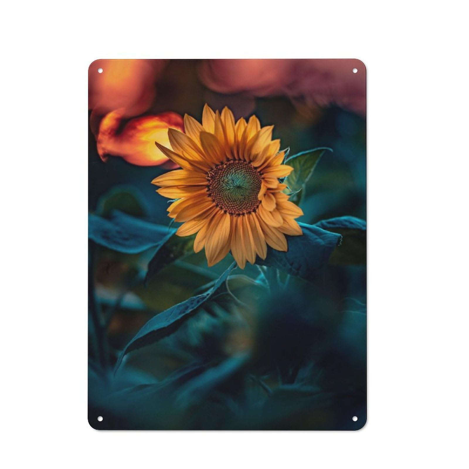 Junmoney Sunflower 8 Tin Sign 40X30cm With For Pub Or Café, Retro-Style Decor, Suited To Café Interior Fans