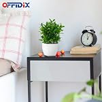 OFFIDIX Artificial Eucalyptus Plants with White Square Vase Small Artificial Tree for Office Desktop Decor Fake Plants for Home and Office Indoor Decorations