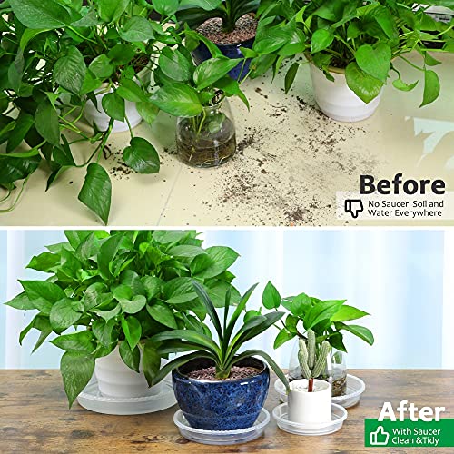 Fowabay 8 Pack Of 5'' Clear Plant Saucer Drip Trays, Plant Tray For Indoor And Outdoor Plants, Thicker & Sturdier & Durable Plastic Plant Saucers Plant Accessories Indoor #TOP5