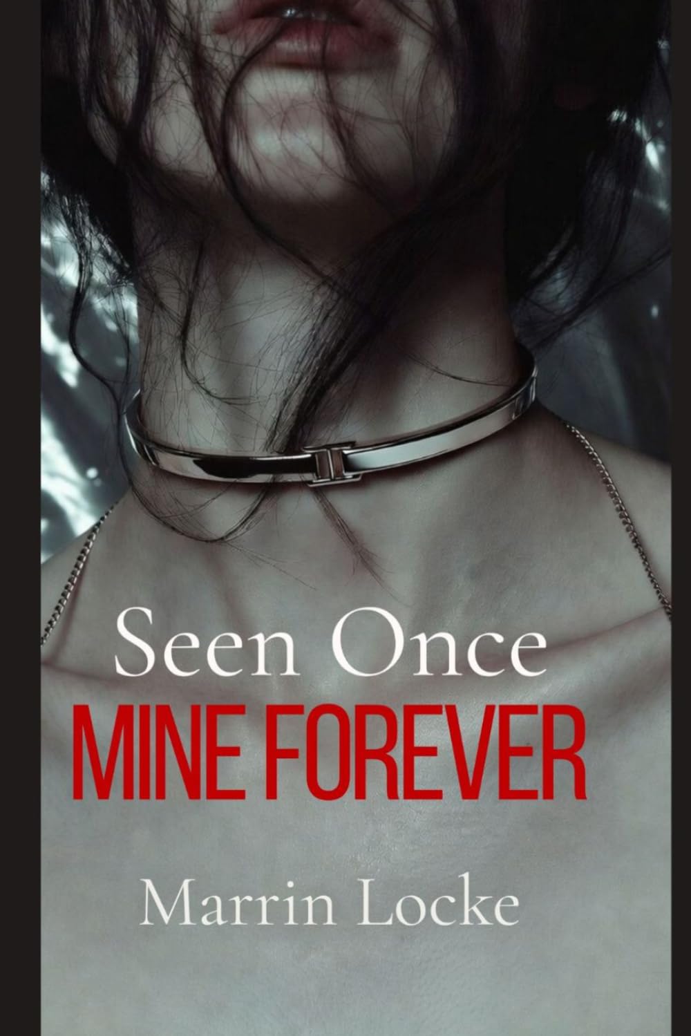 Seen Once. Mine Forever.: A Dark Obsession Novel: 1 (Seen. Mine.)