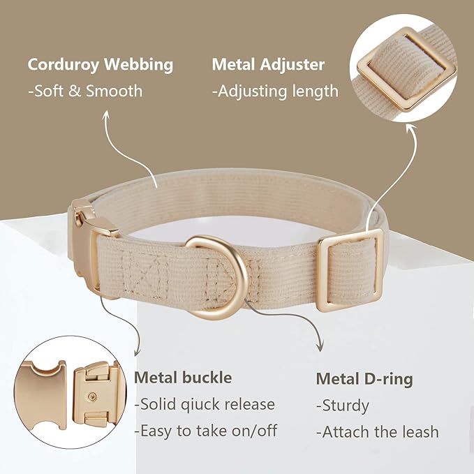 Set de Collar y Correa de Algodón Ajustable para Perro Pequeño Beige miniatura 2