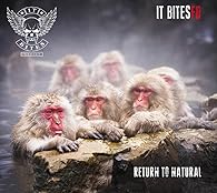 It Bites FD Return To Natural CD
