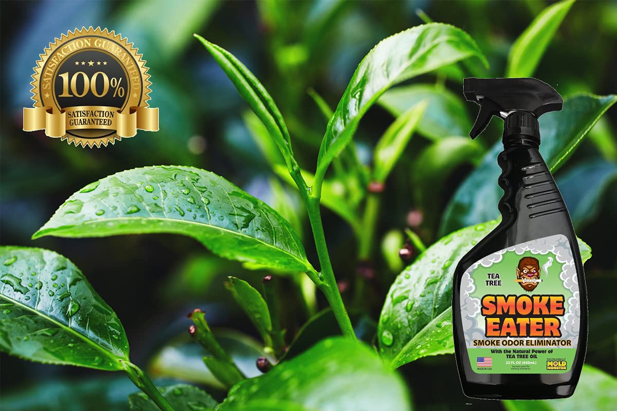 Smoke Eater Breaks Down Smoke Odor at The Molecular Level