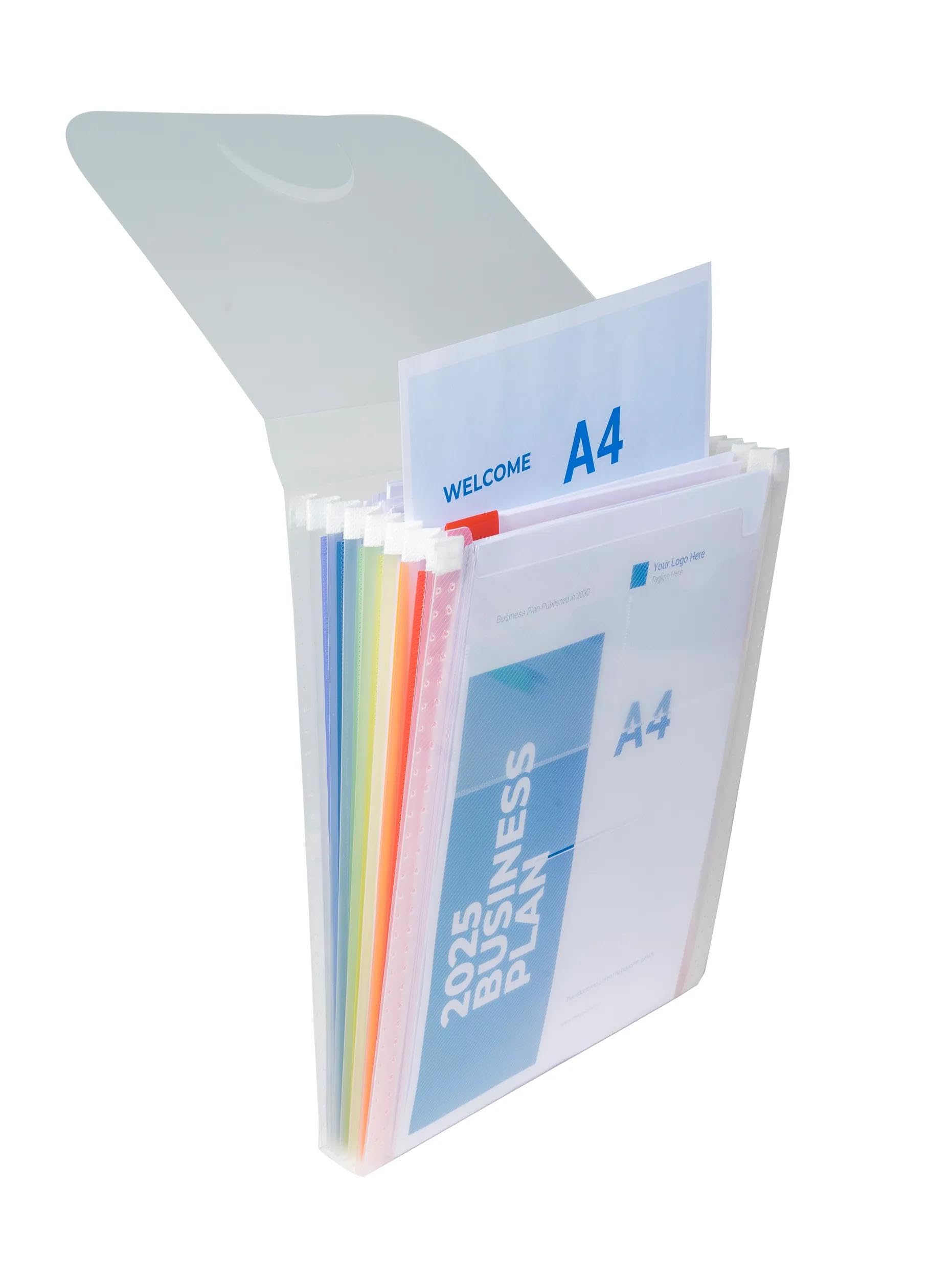 Exacompta - Réf. 55798E - Carton de 5 trieurs valisette vertical Crystal - couverture et intérieur en PP - avec 2 porte-étiquettes sur la face - 6 compartiments - dim 25,5x30,5cm - pour A4 - cristal