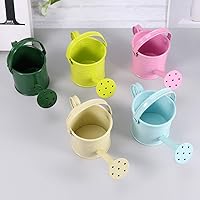 Vista 3 de DOITOOL 5 macetas de agua de jardinería: mini latas de riego de hierro (estilo mixto)