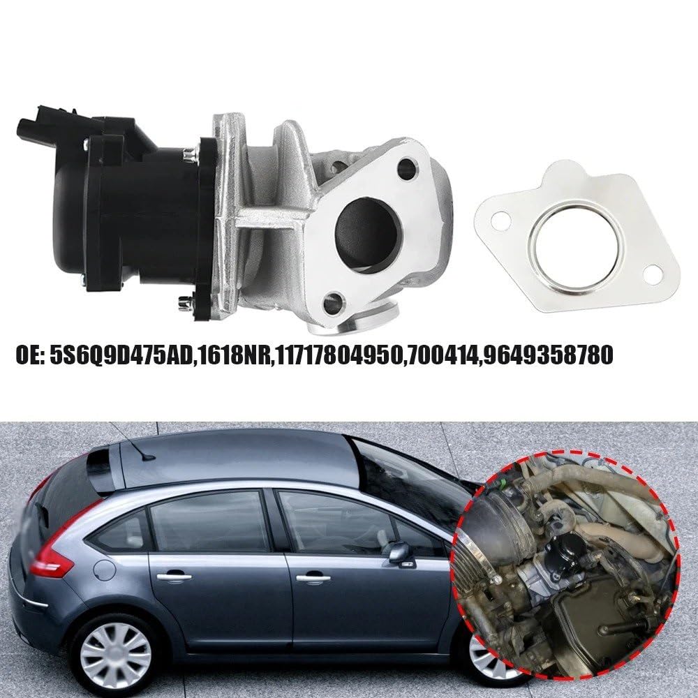 Valvola Ricircolo Gas Scarico Valvola EGR Con Guarnizione 555187 88086 555006 9660276280 5S6Q9D475AD Per FIAT Per SCUDO Per Box Per Piattaforma/Per Telaio 2007 Valvole EGR