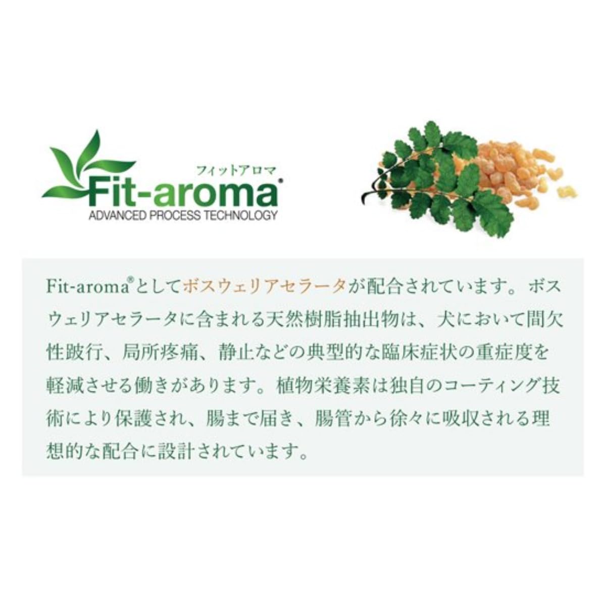 Amazon.co.jp: ベッツソリューション VetSolution Monge ドッグフード