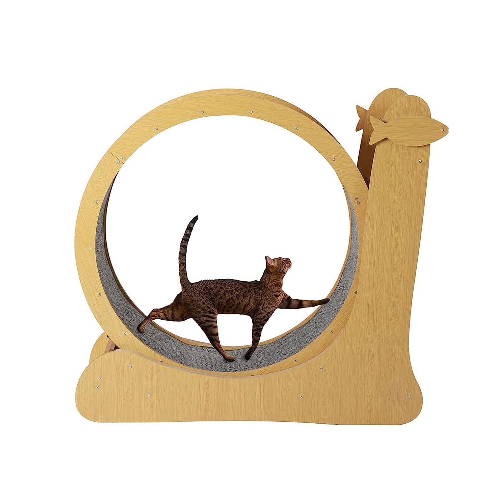 Cinta de Correr para Perros Cinta de Correr para Gatos, Juguete para Mascotas, Ruedas Redondas para Correr, Rueda de Ejercicio para Gatos