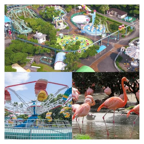 宮崎市フェニックス自然動物園年間パスポート(大人(高校生以上))