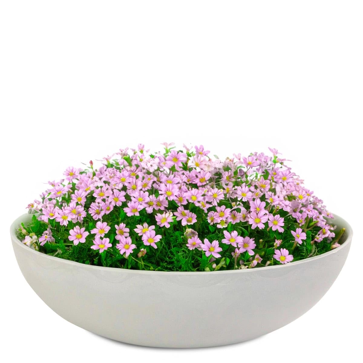 Matches21 Home & Hobby Grey Plant Bowl - Large Vintage Decorative Bowl, Beige/ Marbled, 30 X 9 Cm, Outdoor/Indoor, Weatherproof, Uv-Resistant, Frost-Proof