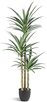 Waoops 5.3ft Faux Agave Artificial Tree with 3 Lifelike Trunks in Pot - Realistic Fake Plant for Indoor Outdoor Home Office Decor