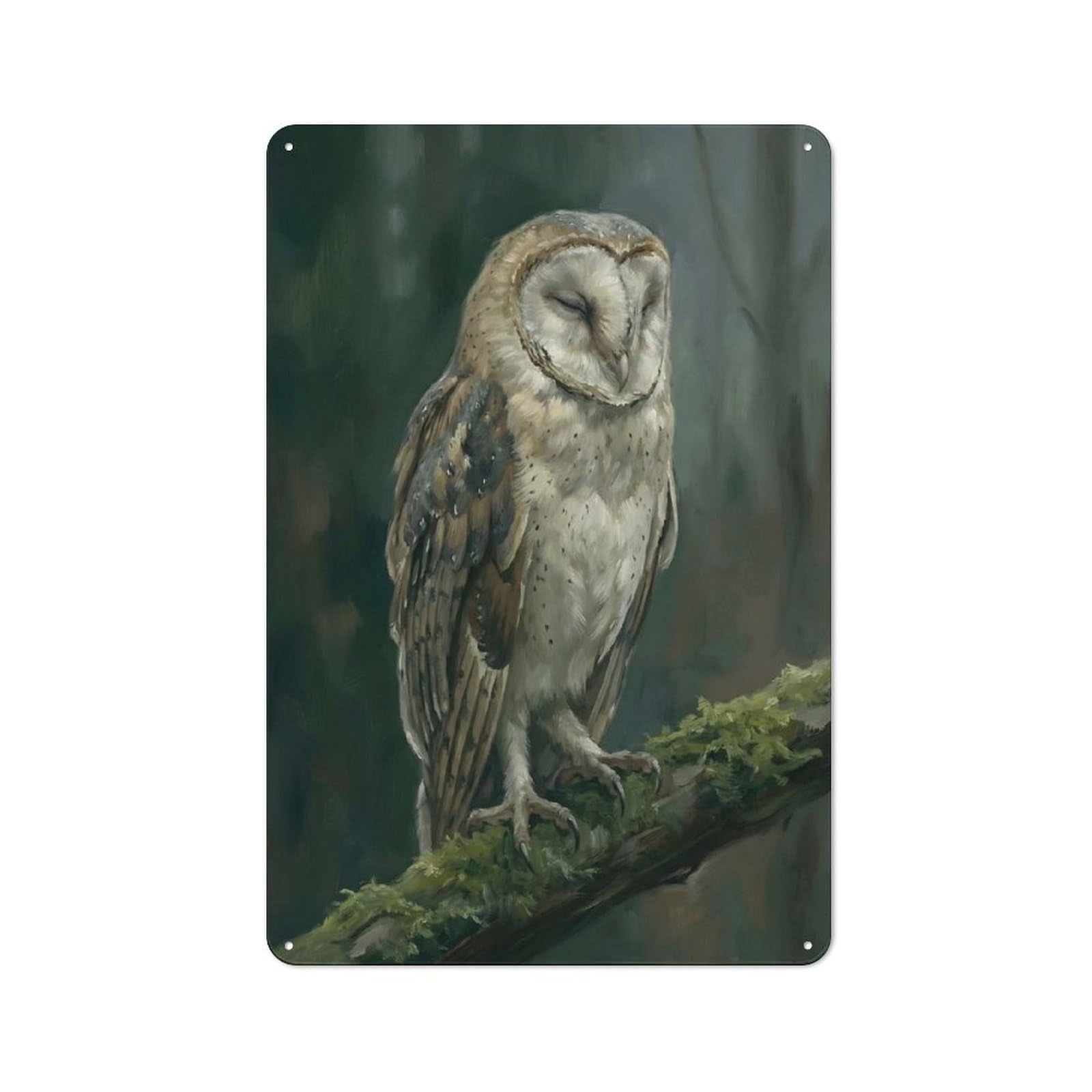 Junmoney Style-21 Barn Owl Perched On Mossy Branch Industrial-Style Metal Sign 30X20cm For Living Room Wall, For Collectors Decorating Living Rooms And Feature Walls