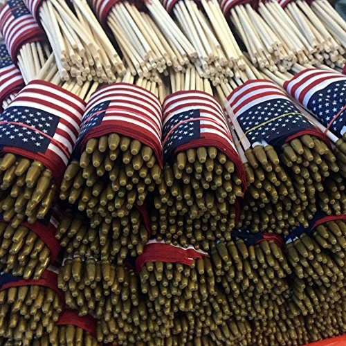 Pack Of 100, Small Us American Handheld Flags, 4X6 Inch Golden Spear Tip, Stick Flags By Crystal Lemon #TOP4