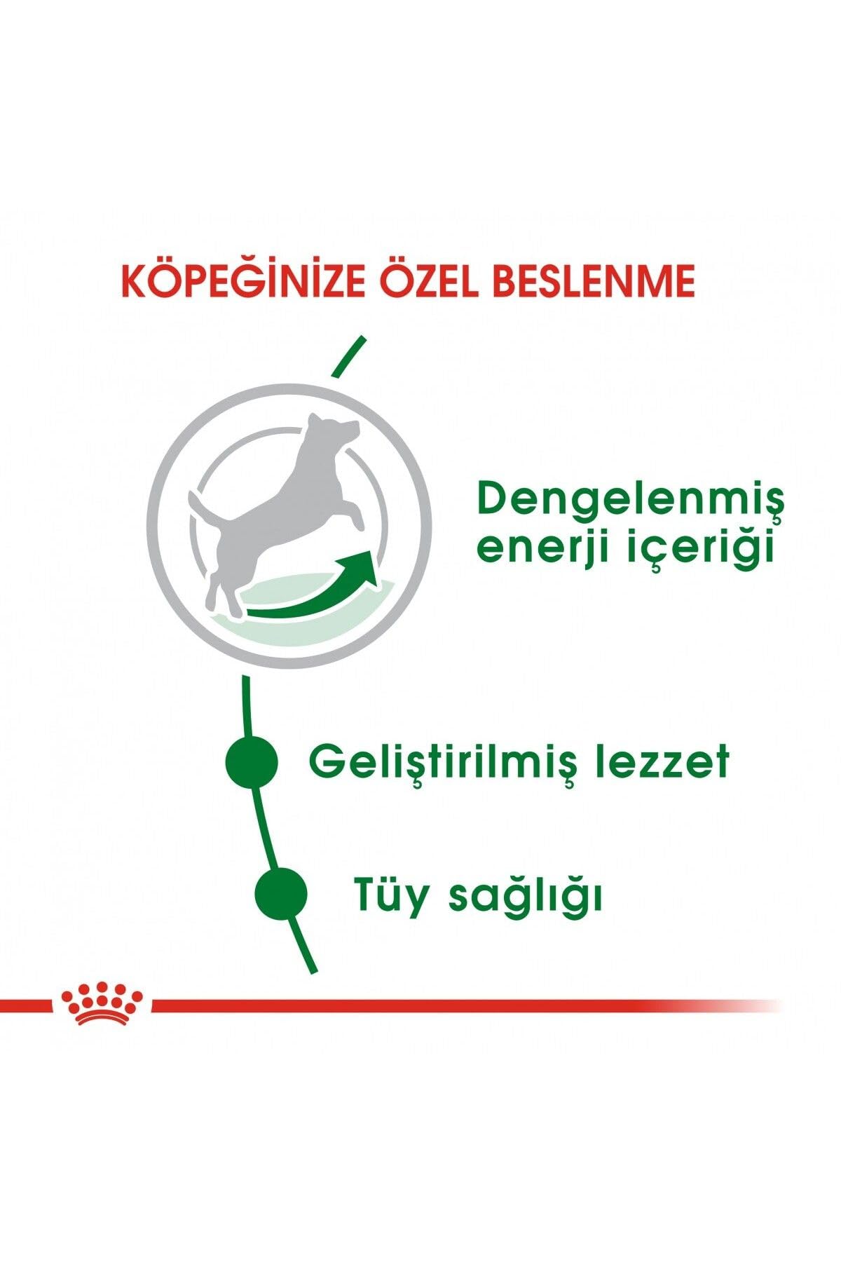 ROYAL CANIN Mini Adult Secco Cane Kg 4
