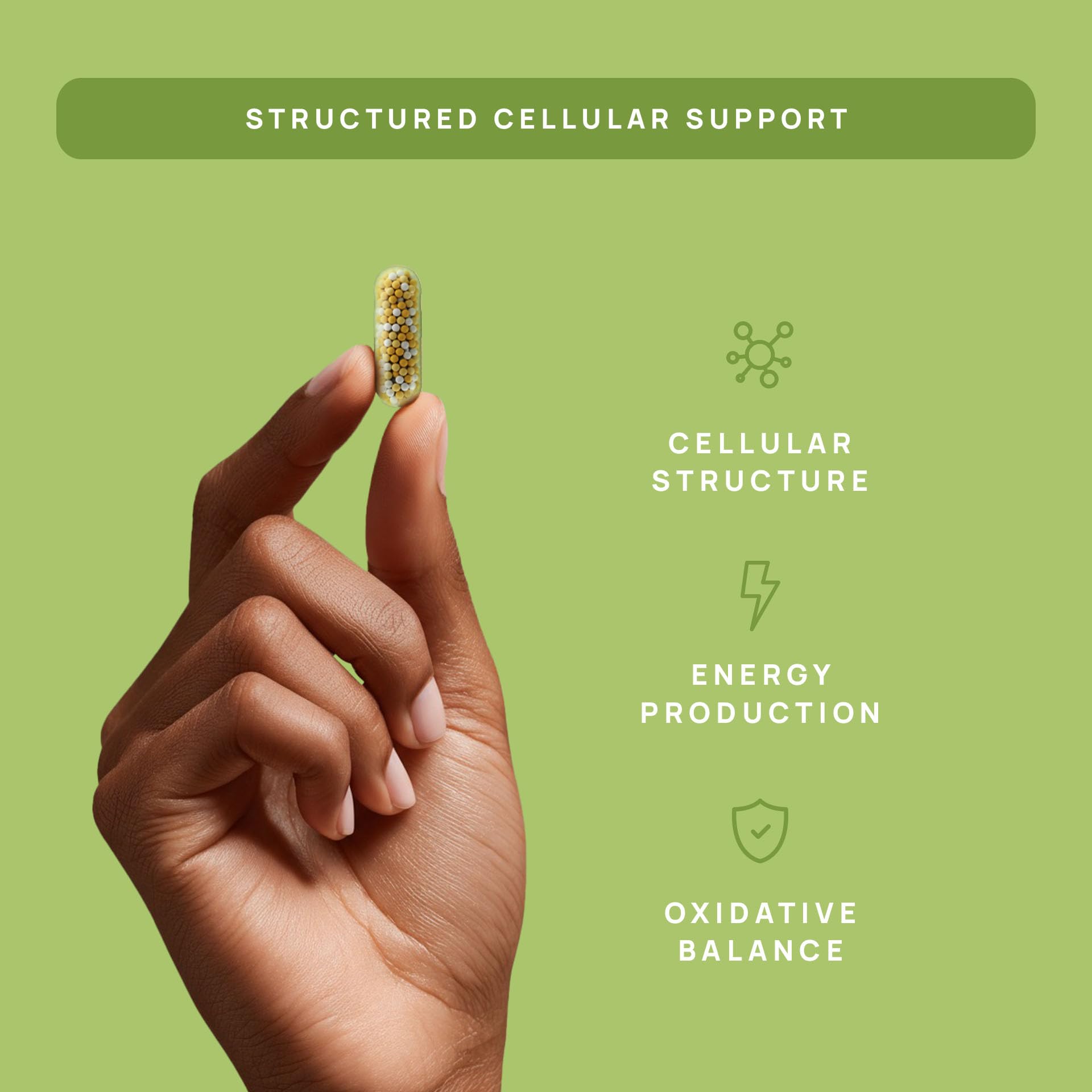 StayWell C15:0 Cellular Complex, Healthy Aging Support, 120 Capsules — Amazon image 7