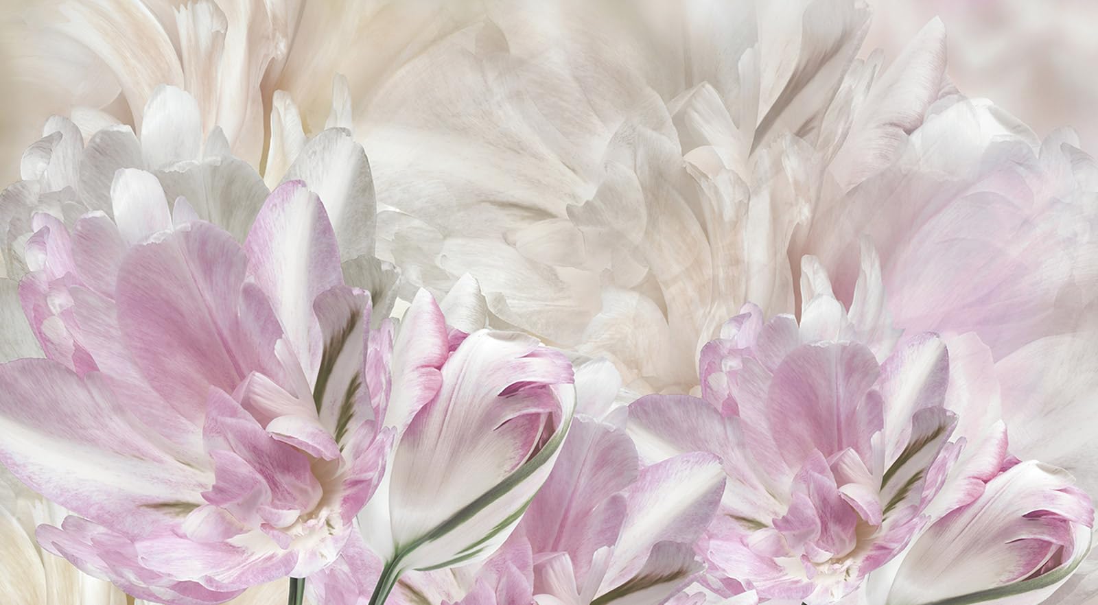 Papier peint panoramique fleurs grand format 390x215 tapisserie murale salon
