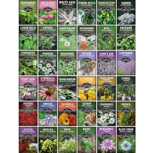 Ultimate Medicinal Herb Seeds Variety Pack – 36 Heirloom Non-GMO Healing Herbs for Planting | Wellness & Apothecary Garden Kit for Herbalists, Homesteaders – Survival Garden Seeds (28,000+) - Image 7