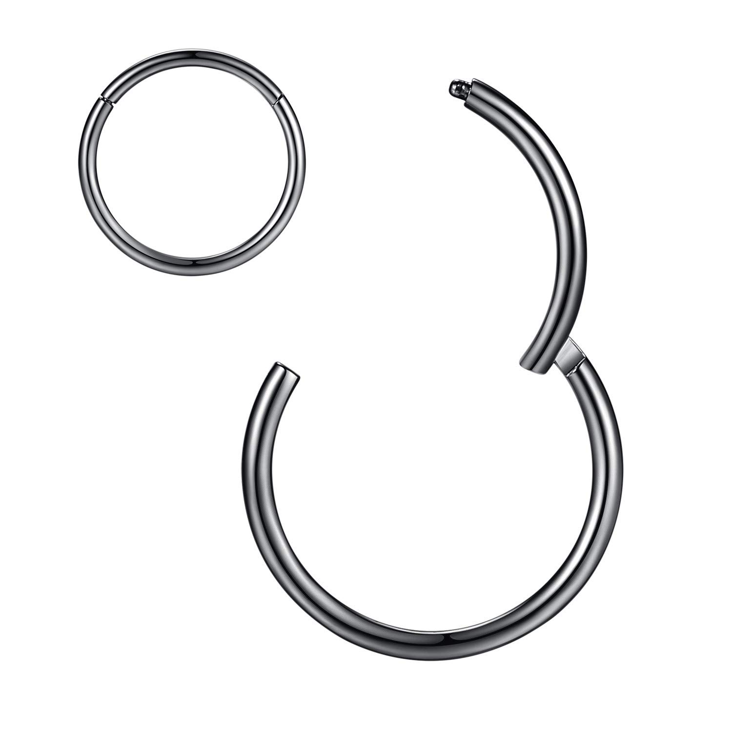 Hypoallergenic Nose Rings 20G 18G 16G 14G 12G 10G 8G 316l Surgical Steel Septum Jewelry Hinged Segment Ring Body Piercing Nose Hoop Lip Rings Nose Helix Cartilage Rook Earrings