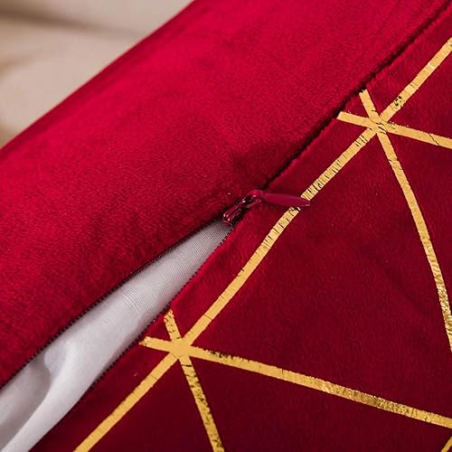 Miniatura 10 de NordECO HOME Fundas de almohada decorativas, juego de 2 fundas de almohada de terciopelo suave para cama, automóvil, decoración del hogar, 24 x 24