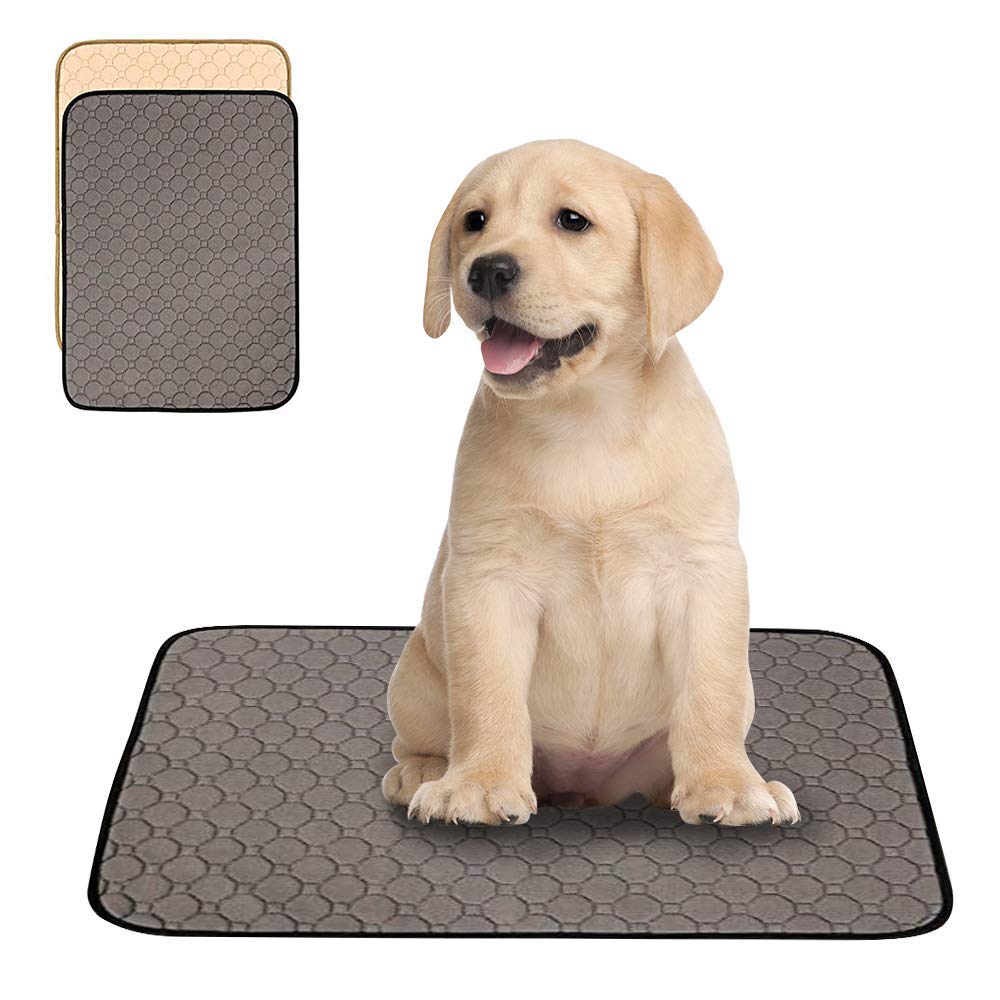 Paw-Tastic2 Pack Washable Dog Pee Pads,Reusable Dog Training Pads,Puppy Training Pads,Puppy Pee Pads,Waterproof Whelping Pads,Travel Pet Pee Pads (Small (23.62x17.72in) 2 Packs, Grey+Tan)