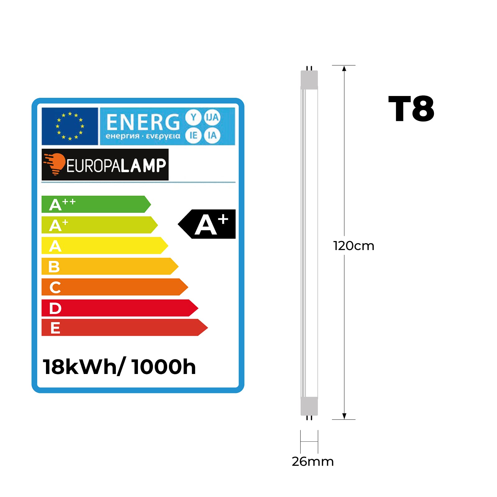 Europalamp – Lote de 10 tubos neón LED 18 W 120 cm T8 blanco frío 6000 K gama Pro