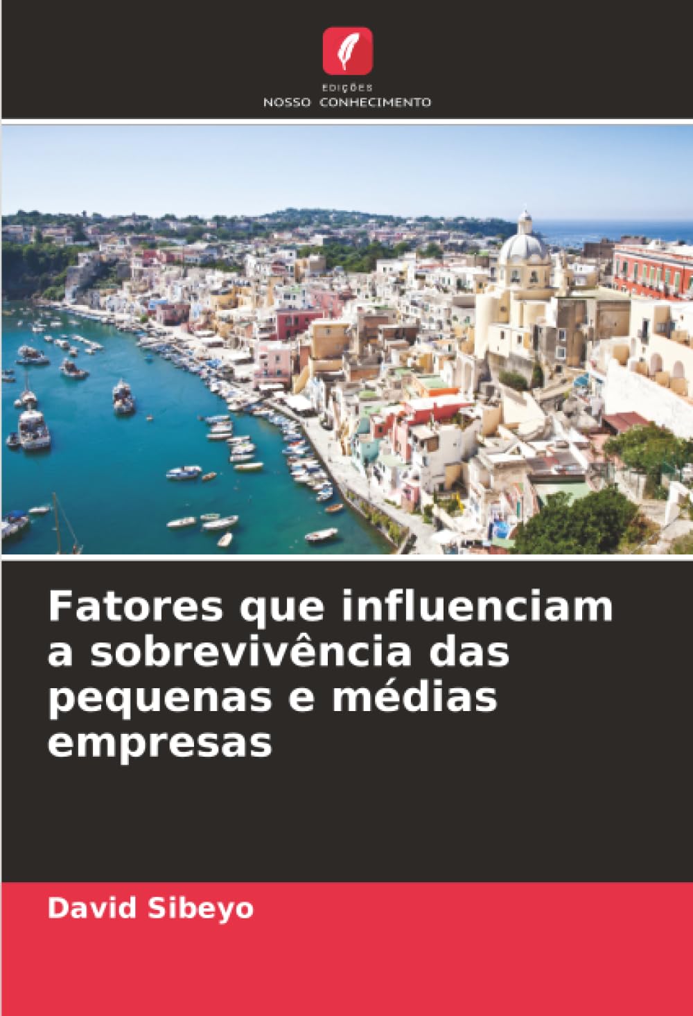 Fatores que influenciam a sobrevivência das pequenas e médias empresas