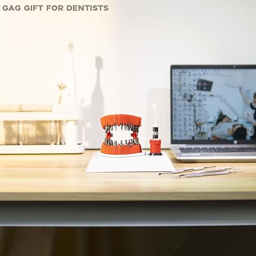 Miniatura 5 de Magoog Soporte para brocas de prótesis con base, regalo de broma para dentista, decoración de escritorio de escultura 3D, destornillador hexagonal