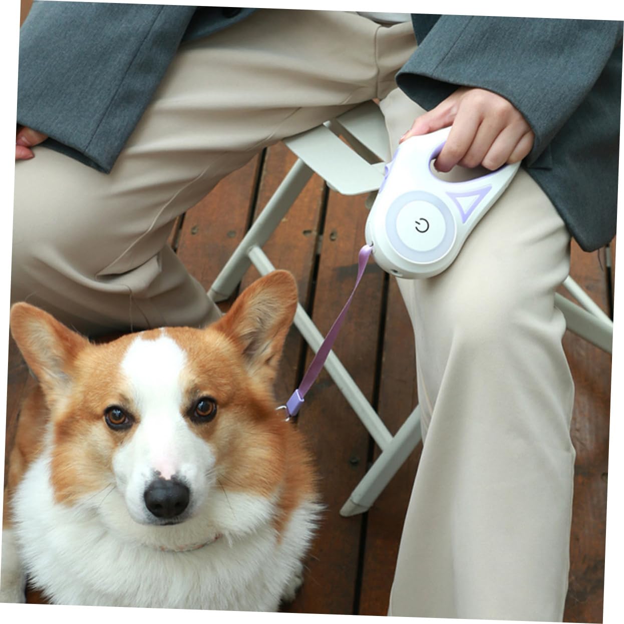 YARNOW Guinzaglio Retrattile per Cani Automatico Funzione di Allungamento, Materiale Abs e Nailon, Portatile e Luminoso, per Passeggiate Cani di Dimensioni Ridotte e Medie