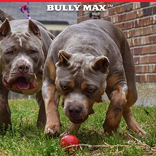 Bully Max Indestructible Dog Ball Toy for Aggressive Chewers - Dog Chew Toy for Puppy, Adult, Small, Medium & Large Dogs - Durable Balls for Dogs to Fetch for Indoor & Outdoor - Guaranteed to Last