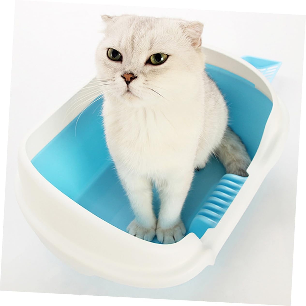 Semi-Enclosed Cat Litter Box Blue Medium Plastic Basin for Easy Cleaning and Cat Toilet Training Strong Material for Comfortable Pet Use and Home Tidiness