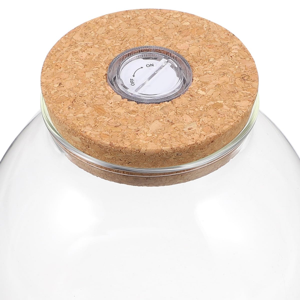ifundom Vaso Idroponico in Vetro 15Cmx16Cm Luce LED e Coperchio in Sughero, Contenitore Decorativo da Tavolo per Piante Aeree in Ufficio e Casa