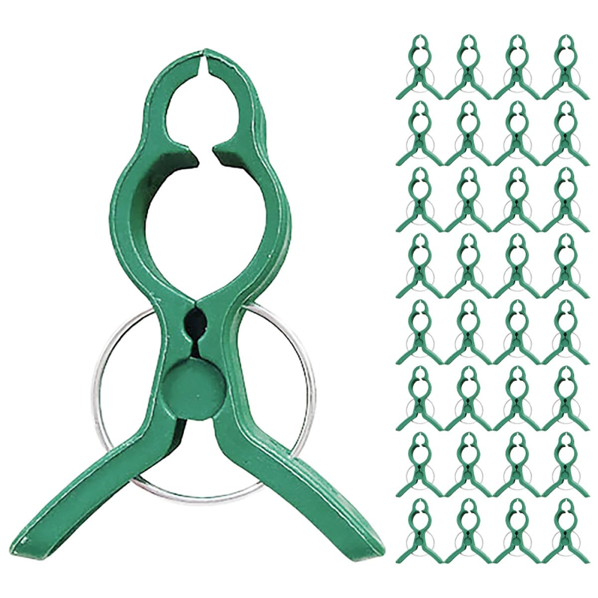 Clip per Piante Pomodoro 60pezzi, Sostegno per Orchidee e Piante Rampicanti, Clip di Fissaggio in Plastica Leggera per Giardino e Terrazza