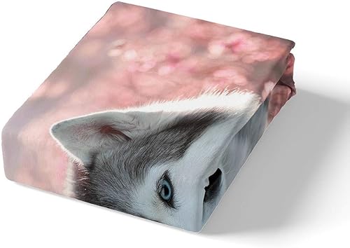 Miniatura 5 de Feelyou Juego de funda de edredón para cachorros, diseño de perro carlino marrón, para niños y niñas, con temática de animales en 3D, funda de