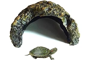 Reptile Habitat: The Ultimate Underwater Haven for Your Aquatic Pets