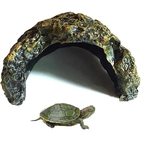 Reptile Habitat: The Ultimate Underwater Haven for Your Aquatic Pets