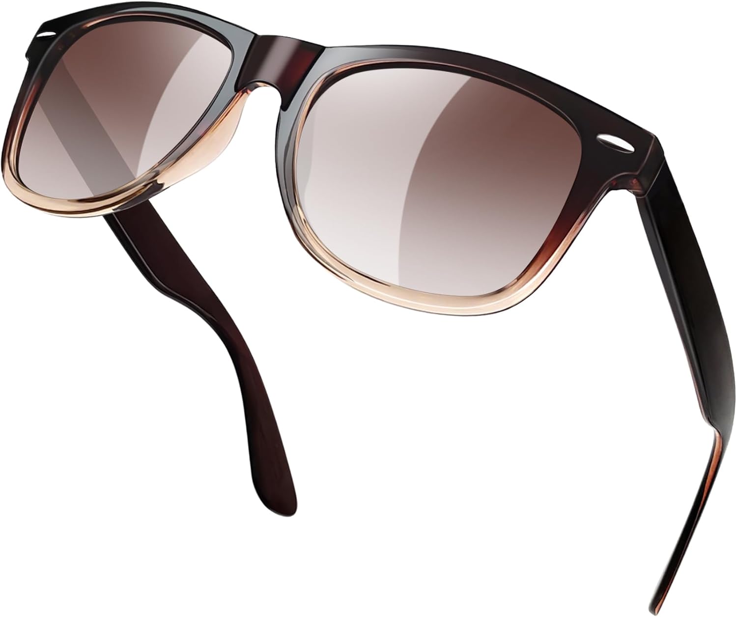 【s1】tr90 Gradient Brown/Brown